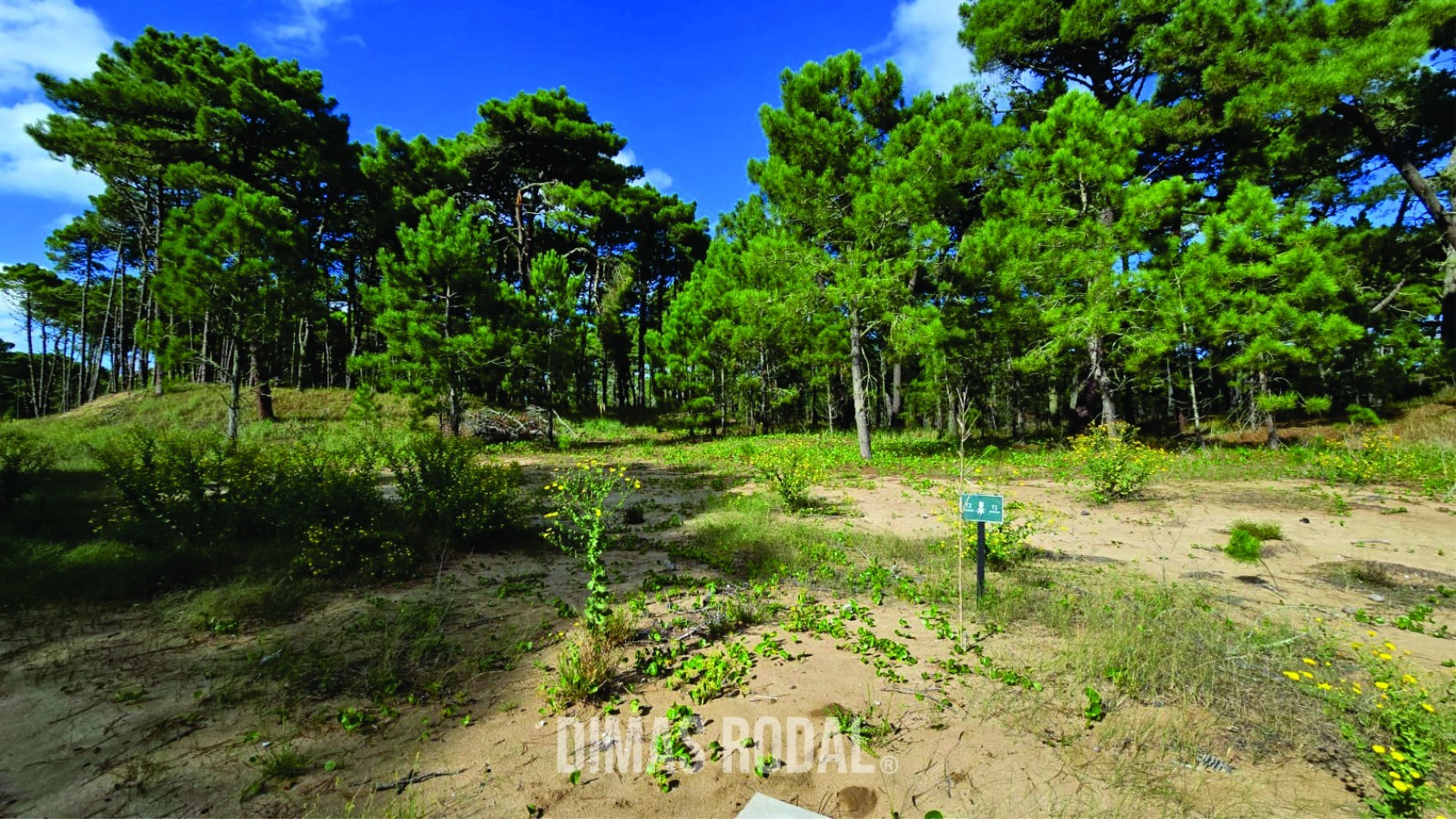 Lote en Venta Barrio Bosques Pinamar