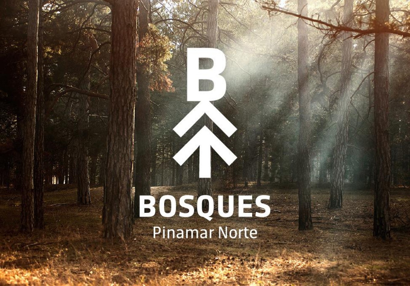Lote en Venta Barrio Bosques Pinamar