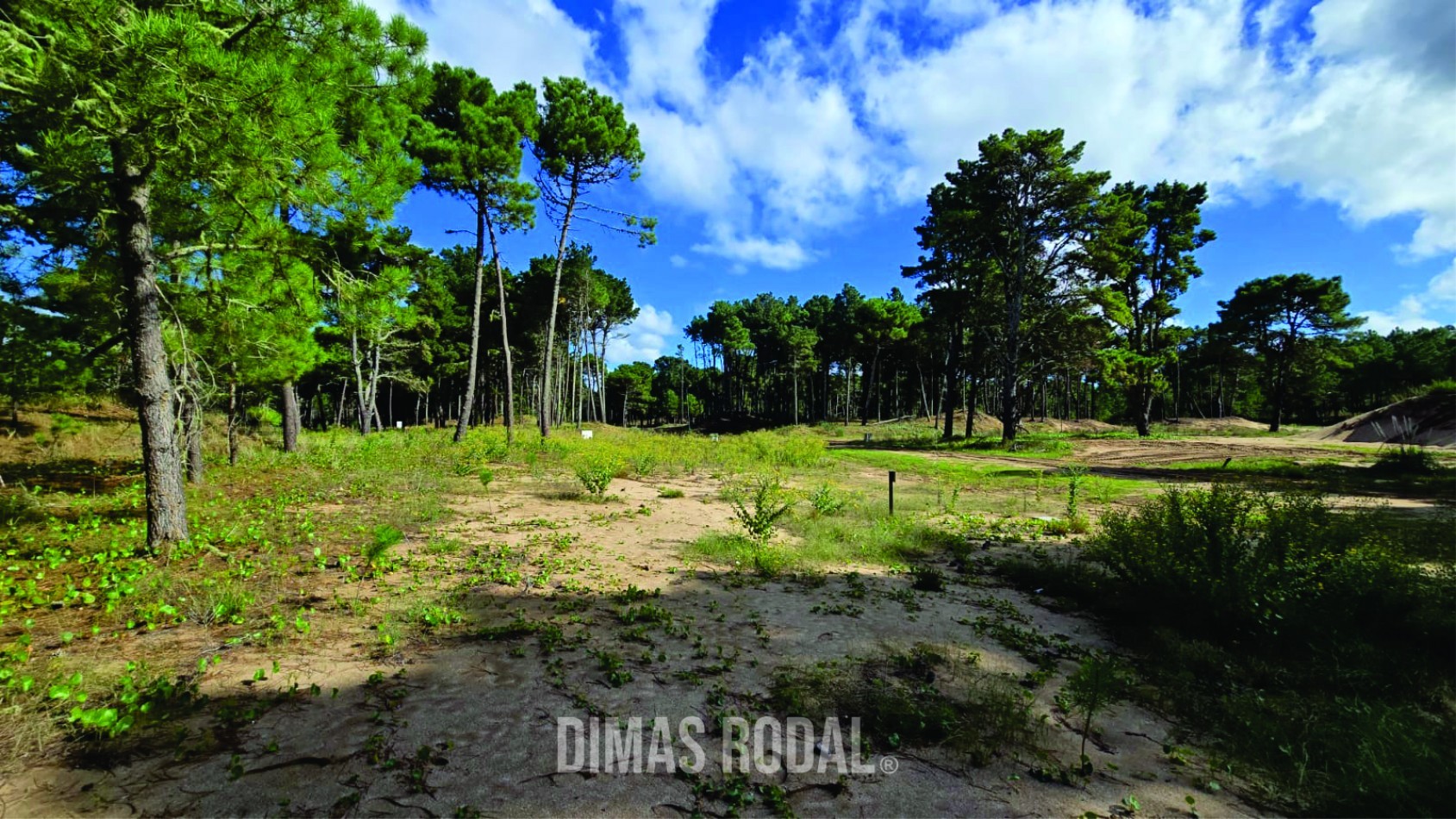 Lote en Venta Barrio Bosques Pinamar