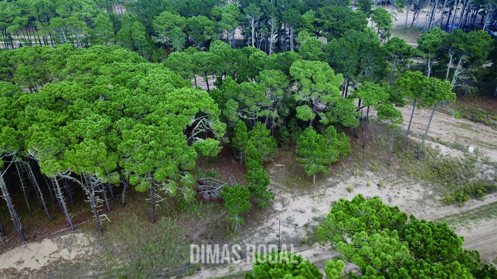Lote en Venta Barrio Bosques Pinamar